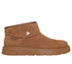 CHESTNUT