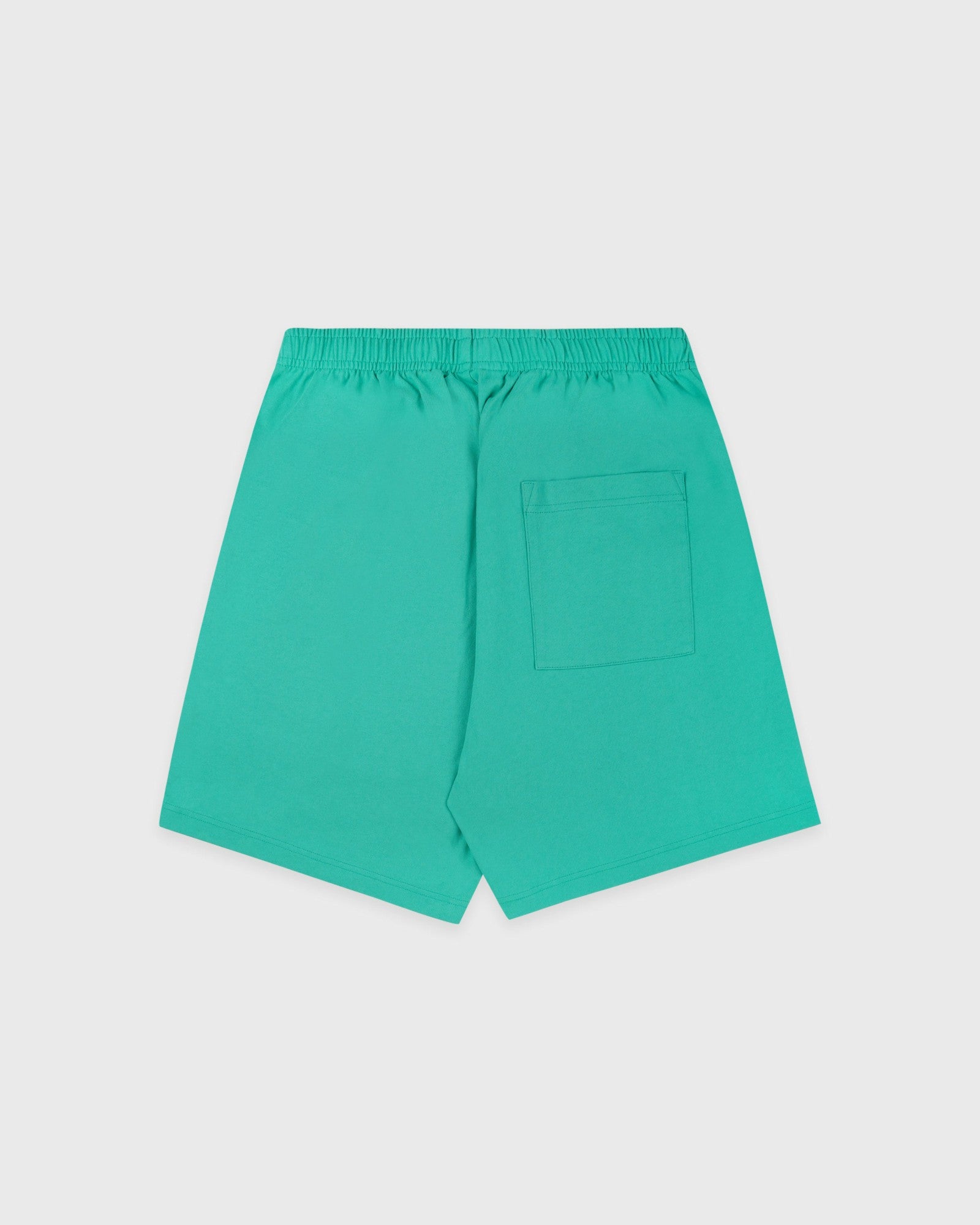 Title Embroidered Gym Short - Amalfi Green/Light Navy