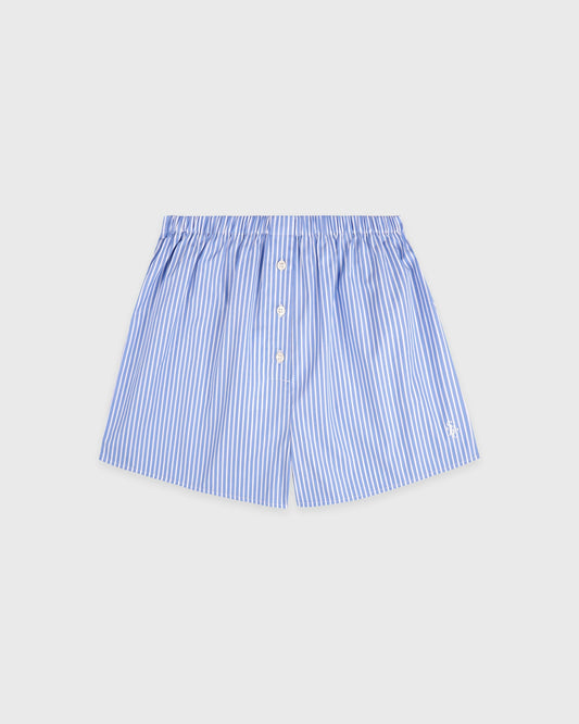 SRC Mini Boxer - Blue Striped