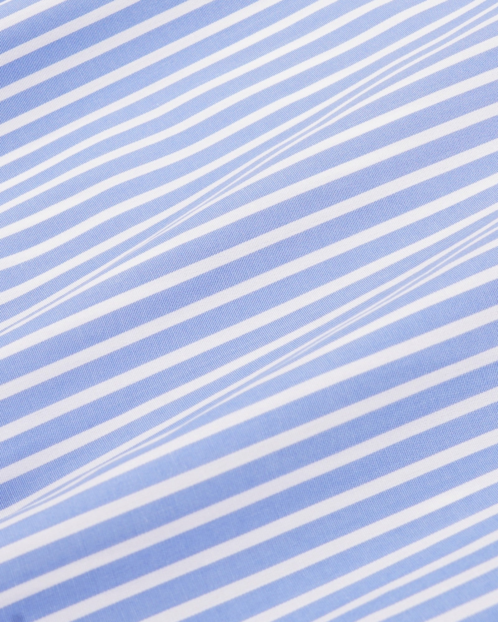 SRC Mini Boxer - Blue Striped