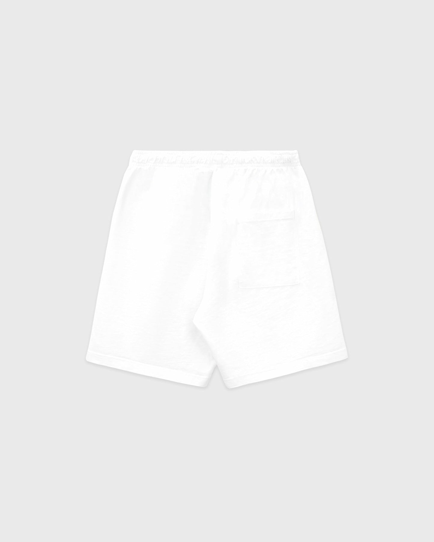 NY Minute Gym Short - White/Navy