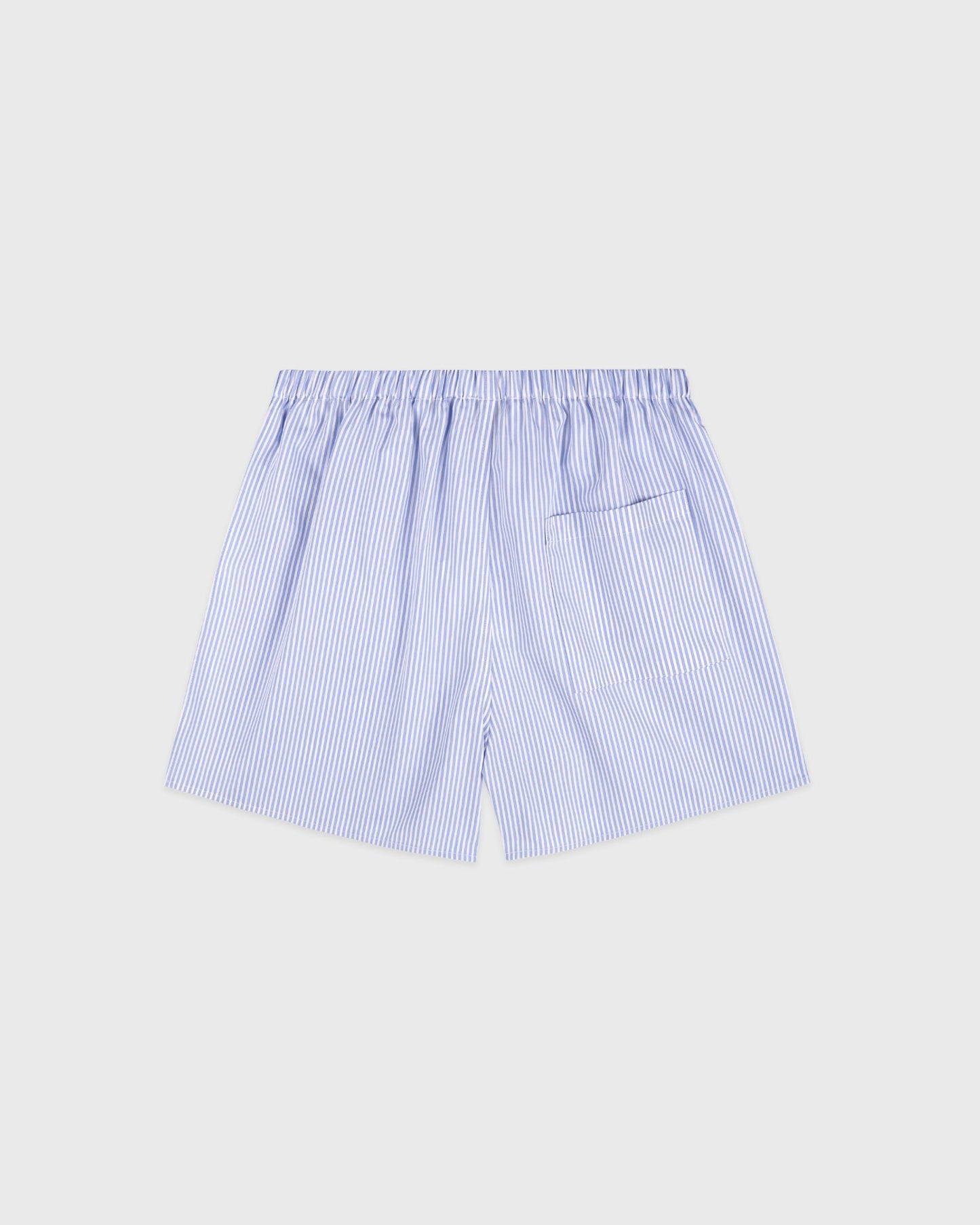 SRC Mini Boxer - Blue Striped