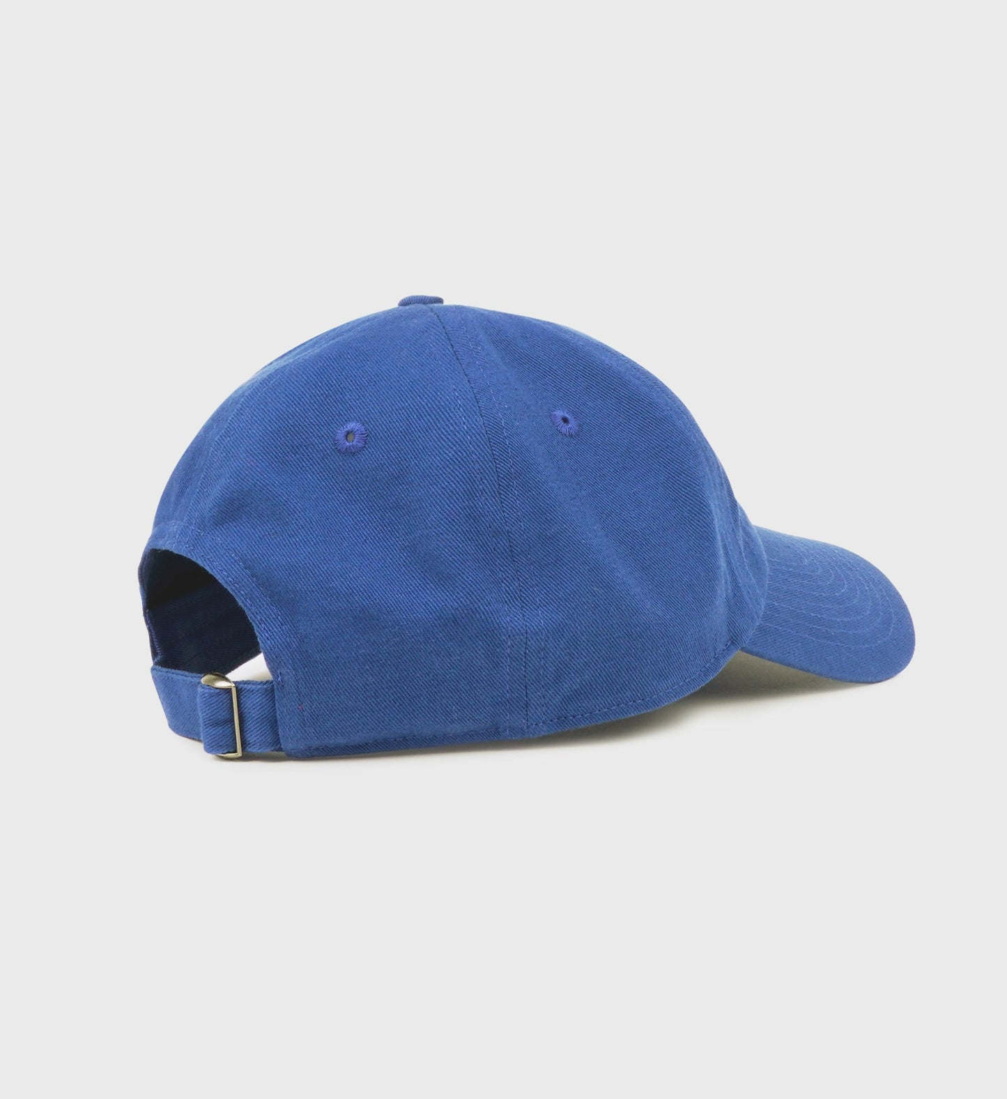 Health is Wealth Hat - Team Blue/White
