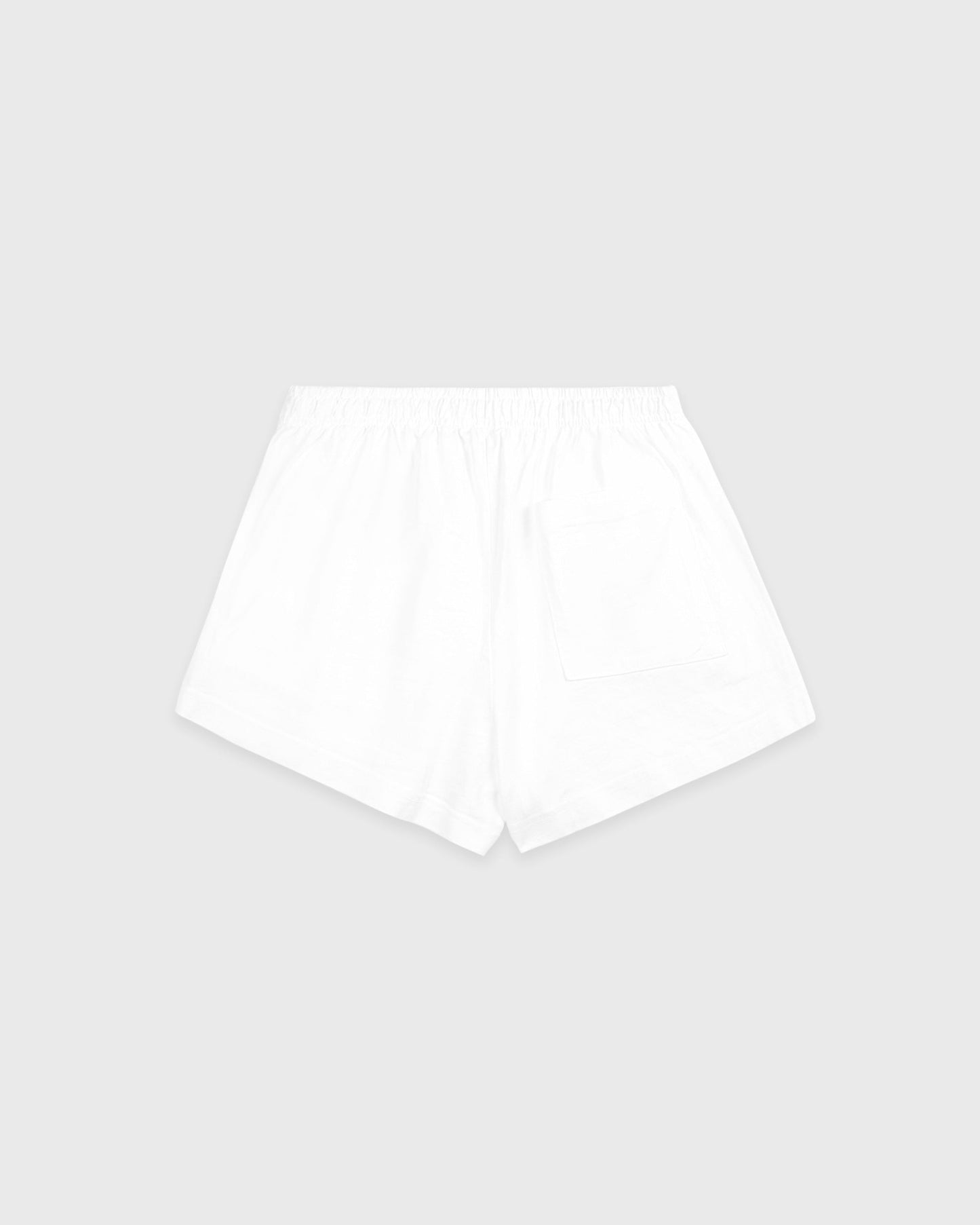 Serif Logo Embroidered Disco Short - White/Navy