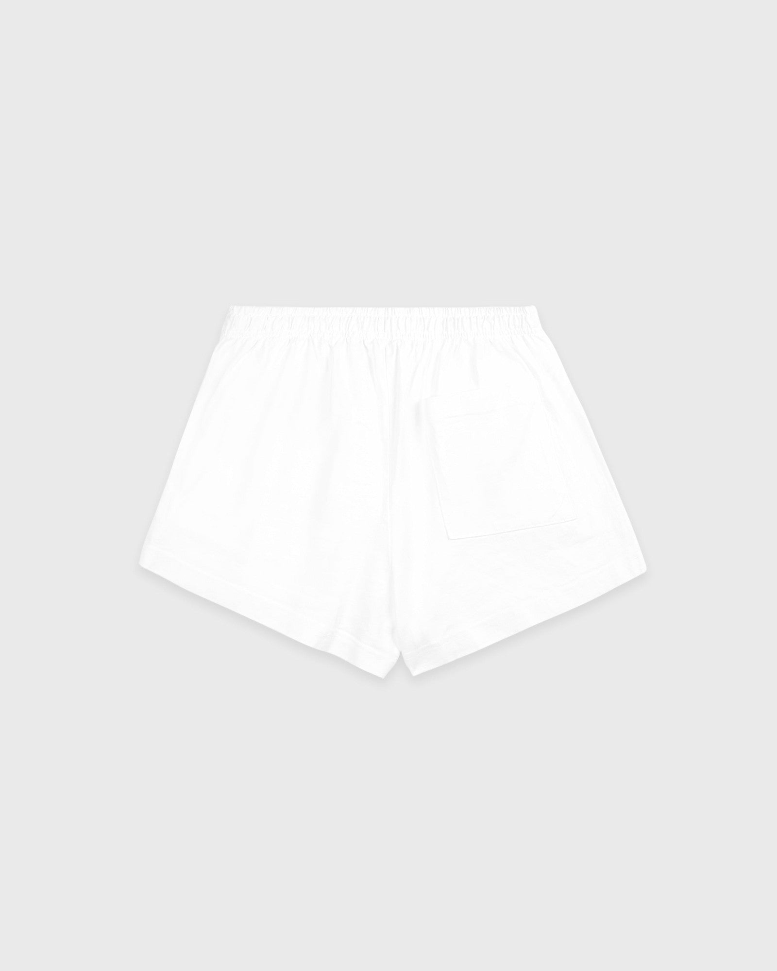 Serif Logo Embroidered Disco Short - White/Navy